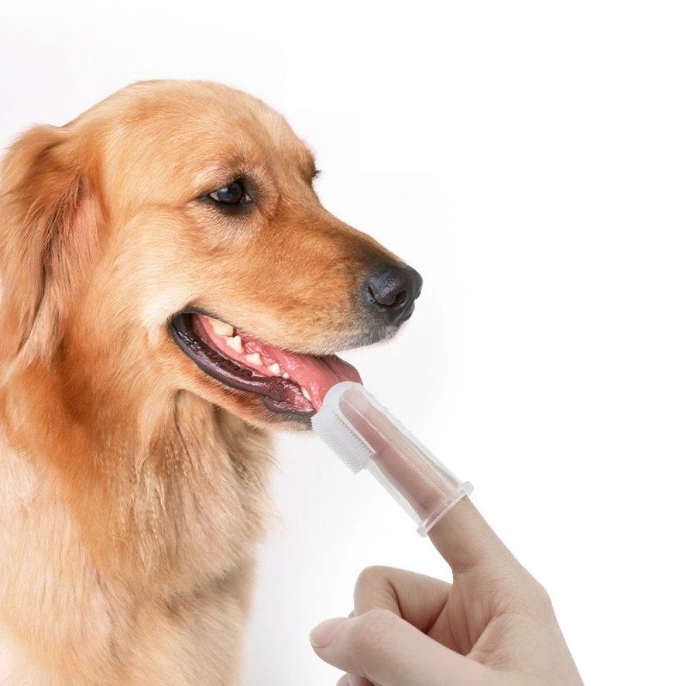 Pet Supplies Us - Escova de Dentes Super Macia para