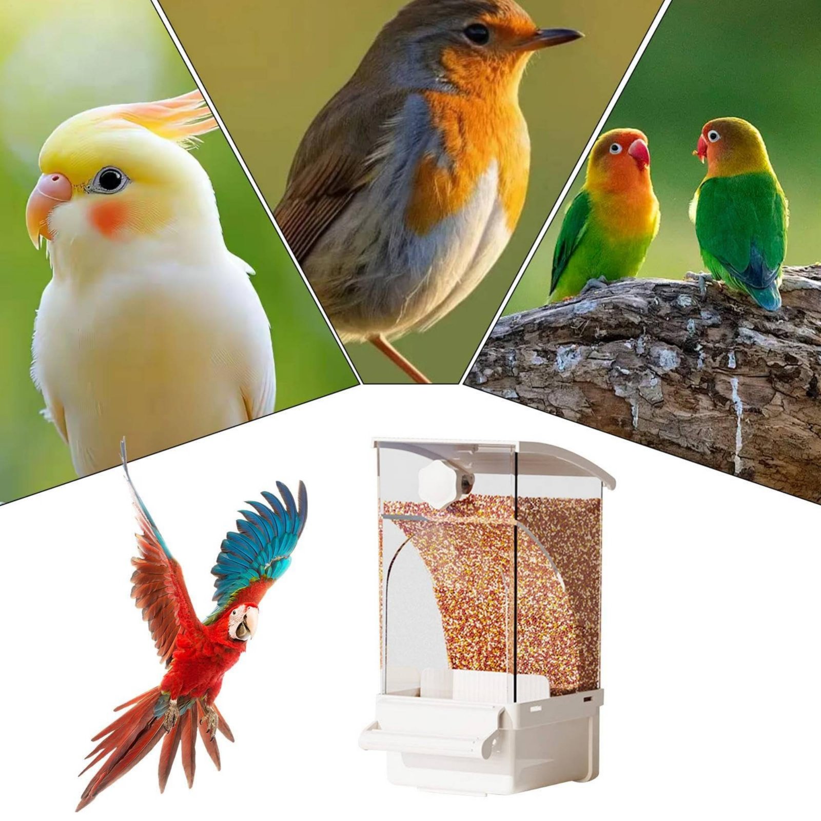 Pet Supplies Us - Comedouro Automático para Aves com Separação