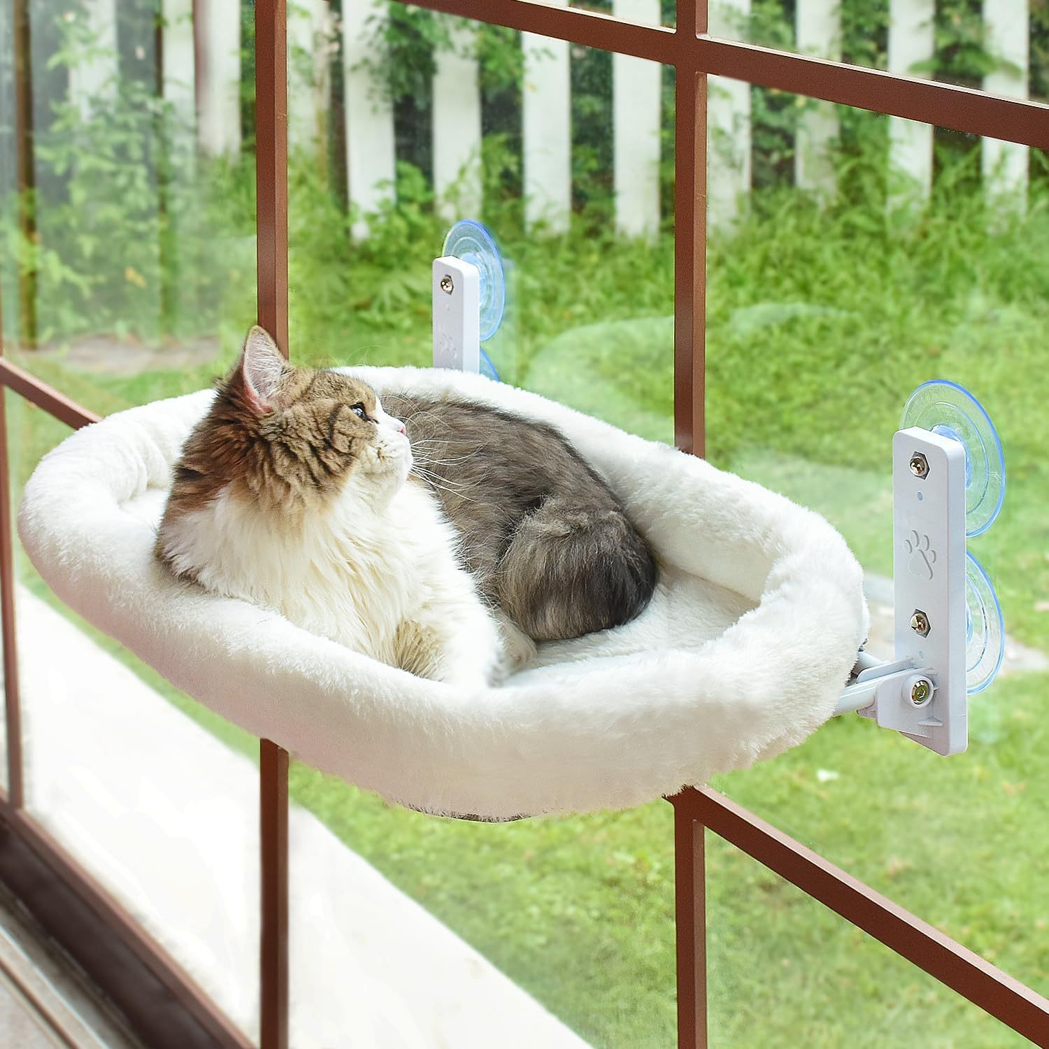 Cat Window Perch - Rede de Janela para Gatos com