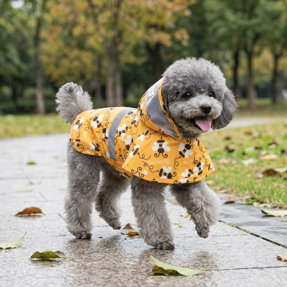 Dog Raincoat - Capa de Chuva para Cães em