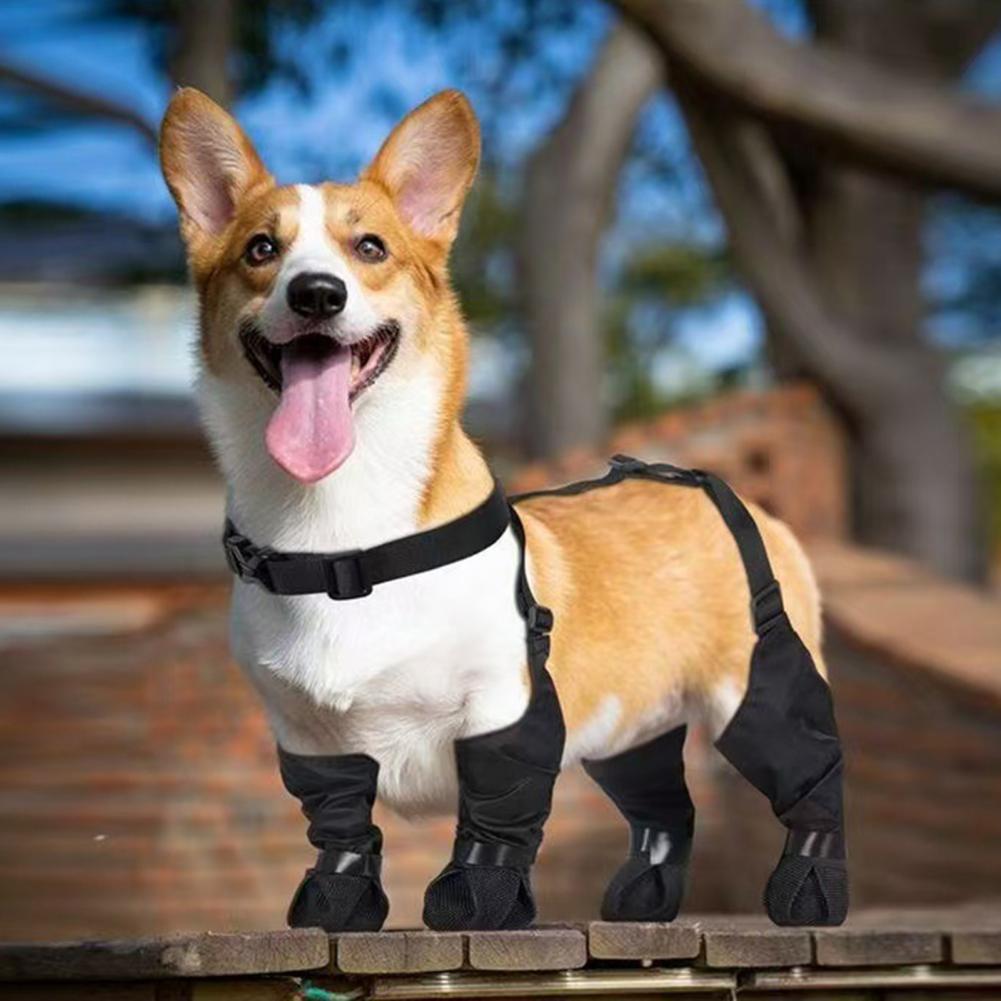 Dog Booties Paw Protector - Botas de chuva para cães, protetores