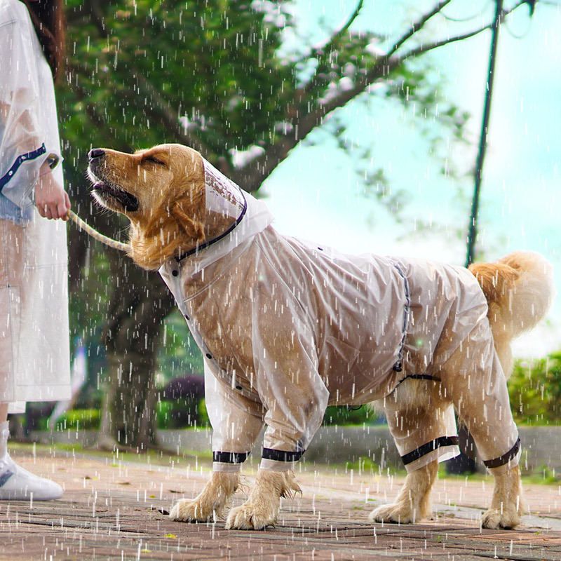 Capa de chuva impermeável para - Dog Raincoat avaliação e preço