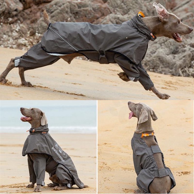 Capa de chuva para cães, à pro - Dog Raincoat avaliação e preço