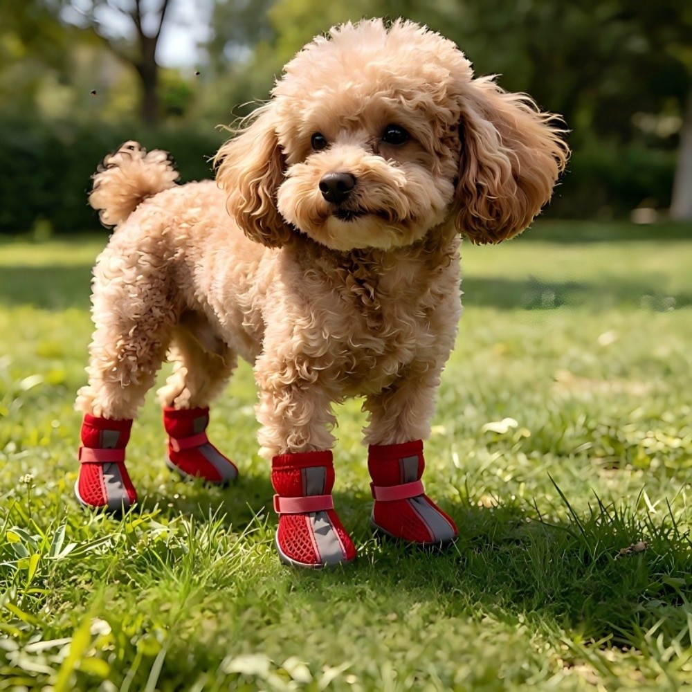 Conjunto de 4 Peças de Botas p - Dog Booties Paw Protector avaliação e preço