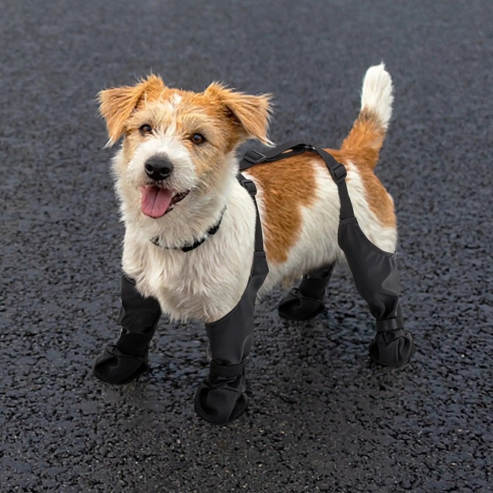 Anti-queda impermeável sapatos - Dog Booties Paw Protector avaliação e preço