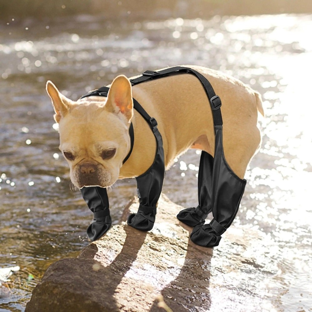 Anti-queda impermeável sapatos - Dog Booties Paw Protector avaliação e preço
