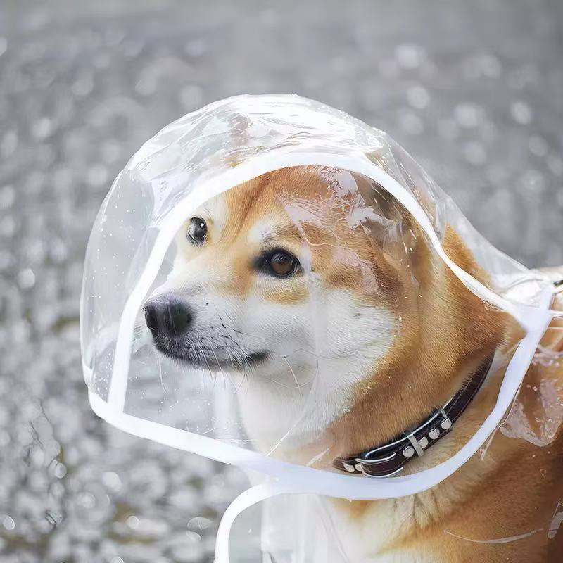 Capa de Chuva Transparente par - Dog Raincoat avaliação e preço