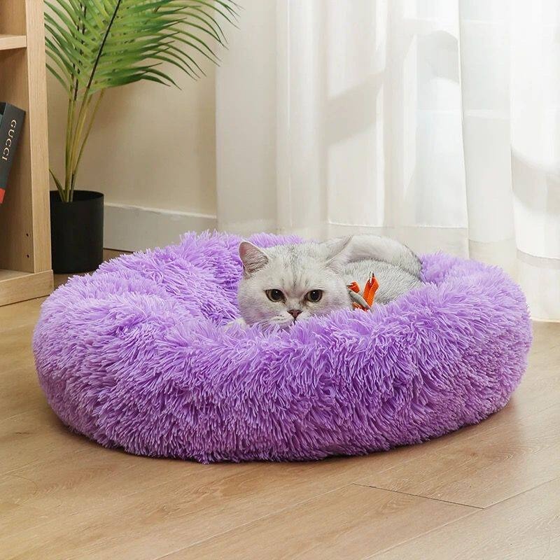 Cama para Cachorro de Algodão  - Pet Supplies Australia avaliação e preço
