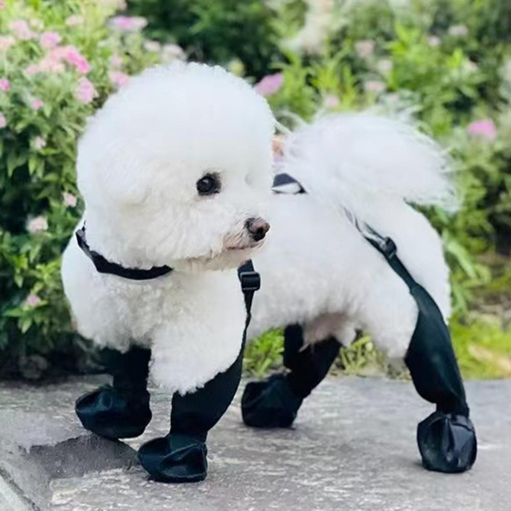 Botas de chuva para cães, prot - Dog Booties Paw Protector avaliação e preço