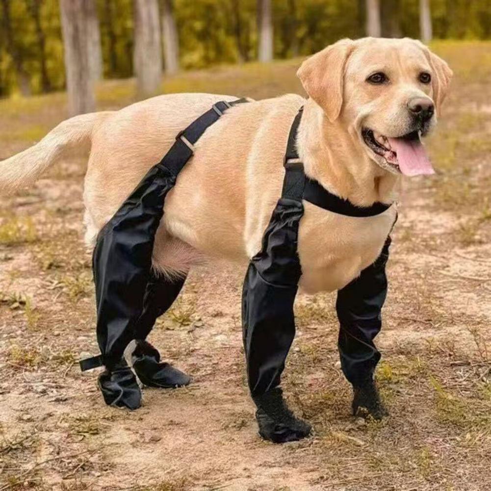 Botas de chuva para cães, prot - Dog Booties Paw Protector avaliação e preço