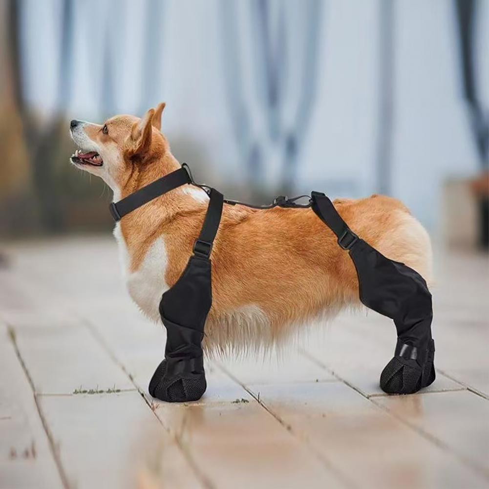 Botas de chuva para cães, prot - Dog Booties Paw Protector avaliação e preço